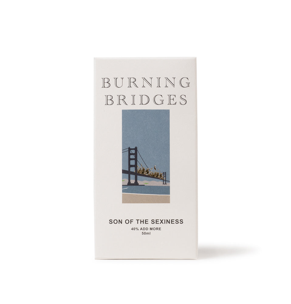 BURNING BRIDGES