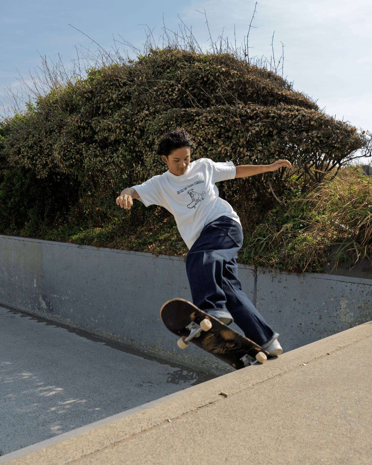 【再入荷！】DOG SKATE TEE