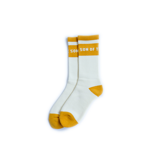 FUCCI POOL SOX