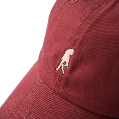 FUCCI CAP