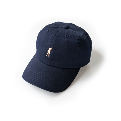 FUCCI CAP